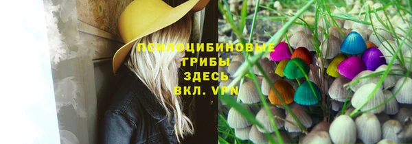 сатива Михайловск