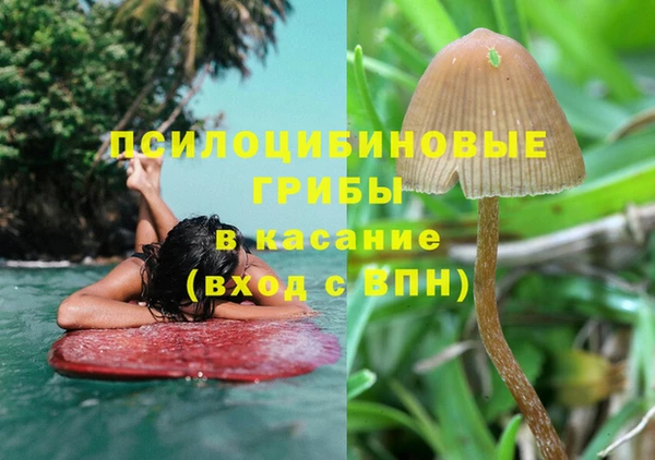 MDMA Михайловка